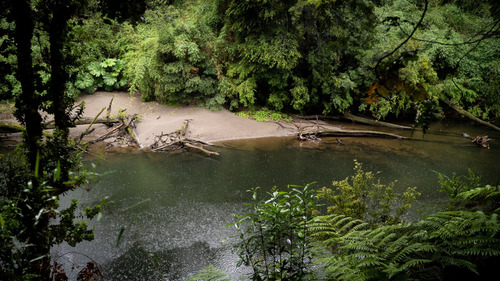 Parcelas En Reserva RÃo San Pedro, Preserva Tu Futuro.