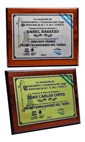 Placas Conmemorativas Grabado Laser 24x20 Cm