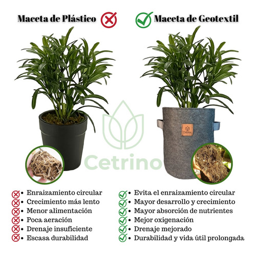 10 Macetas Tela Geotextil 20l Redonda Cetrino Eco 28cm Gris