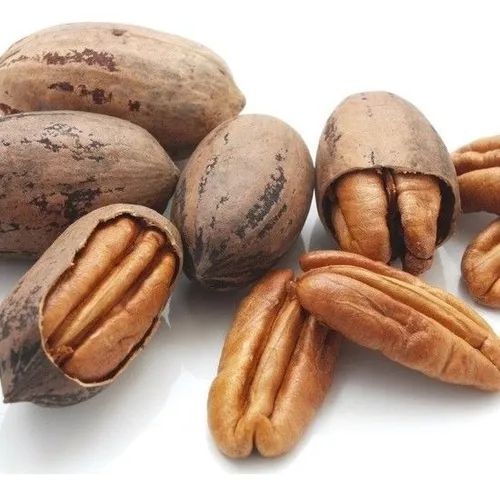 comprar Nuez Cáscara De Papel 5 Kg Granel Genérica Western