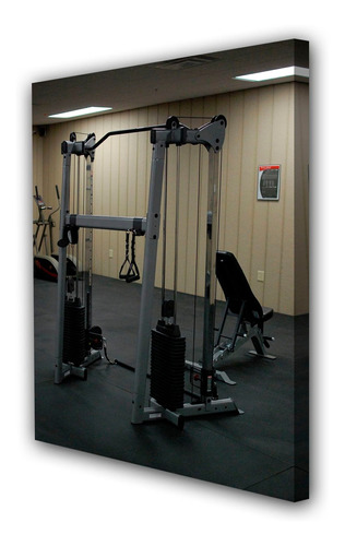 Cuadro 30x45cm Gimnasio Pesa Ejercicio Equipo M4