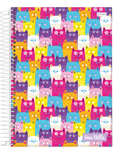 Caderno Jandaia Universitário Stella 240 Folhas