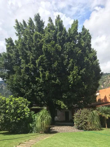 Casa Sola En Santo Domingo, Tepoztlán, Morelos - Ims-18-cs