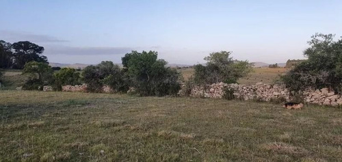 Campo De 35 Hectareas Sobre Ruta 12