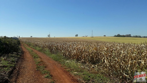 Imagem 17 de 30 de Chácaras_sítios_fazendas Para Venda - 13650.3266
