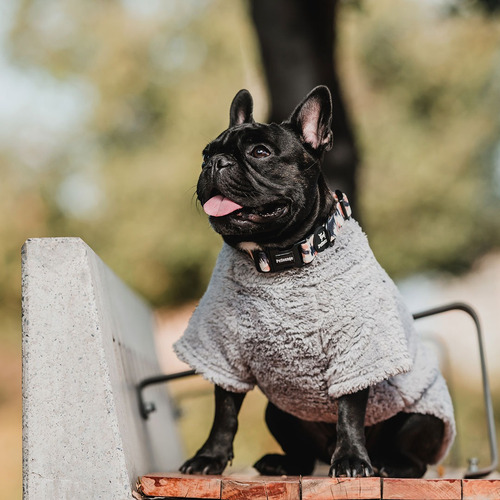 Corderito Petlounge Con Mangas Para Mascotas Perro Y Gato Gris Talla 2
