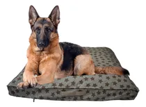 Comprar Cama Perro Cane Corso Italiano (mastin Italiano) Espinone