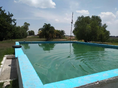 Rancho En Venta En Manuel Doblado, Gto. 89 Hectáreas