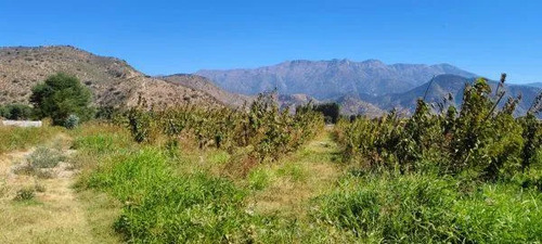 En Venta Parcela 10000m2 Graneros