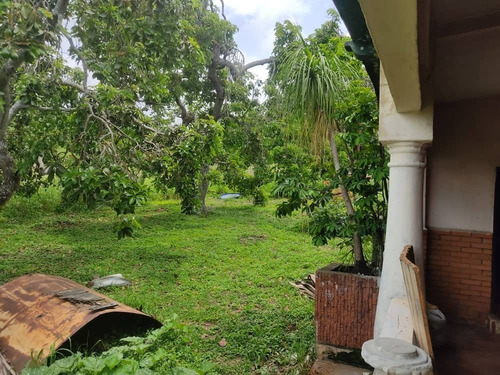 Imagen 12 de 14 de Vendo Finca San Felipe Dt