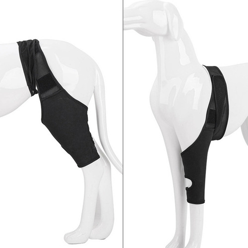 Soporte De Rodilla Para Patas Traseras Para Perros, De Neopr
