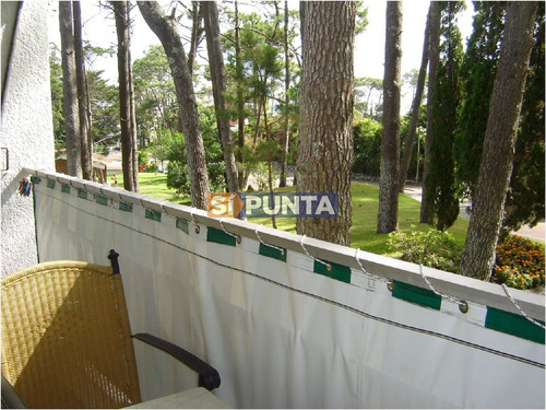 Imagen 2 de 13 de Apartamento En Mansa, 1 Dormitorios *