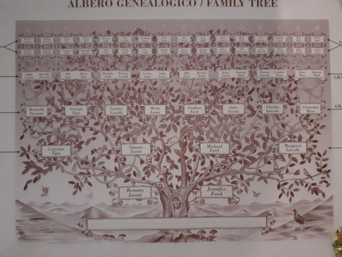 Arbol Genealógico Conjunto De Láminas Origen Italia. (Usado)