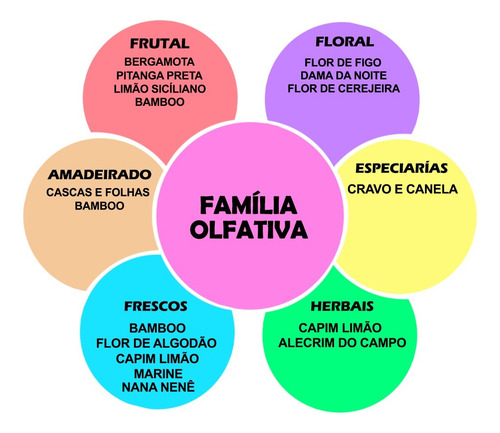 Essência Aromatizador Ambientes Aromax 10ml Dama Da Noite
