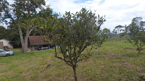 Imagem 9 de 15 de Sítio / Chácara Para Venda Em Araucária, Zona Rural, 2 Dormitórios, 1 Banheiro, 1 Vaga - 157_2-1591009