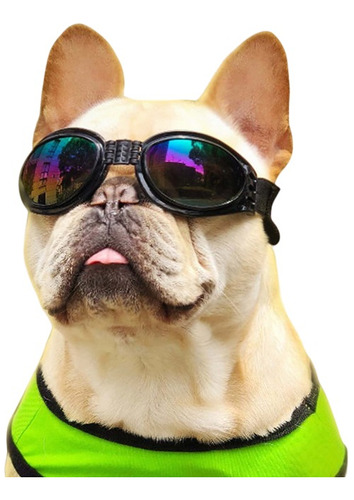 Gafas De Sol Para Perros Polarizadas Lentes Moto Mascotas
