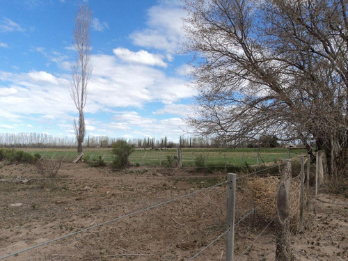 Imagen 7 de 8 de Espectacular Terreno En Mendoza Oportunidad