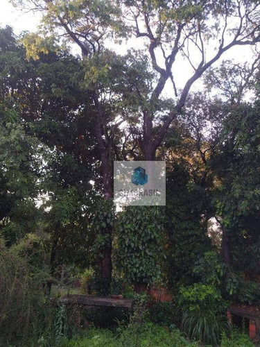 Imagem 10 de 30 de Chácara No Recanto Das Colinas Verde - Ch0043