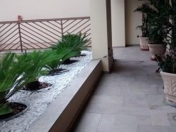 Imagem 16 de 21 de Apartamento À Venda Em Cambuí - Ap000154