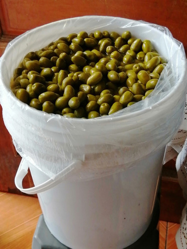 Aceituna Picual Verde Mediana Orgánica Cubeta 14 Kg Drenados