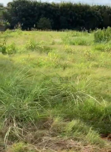 Imagem 3 de 3 de Terreno À Venda, 3161 M² Por R$ 500.000,00 - Centro - Santa Terezinha De Itaipu/pr - Te1616