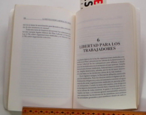 La Revolución Laboral En Chile. José Piñera