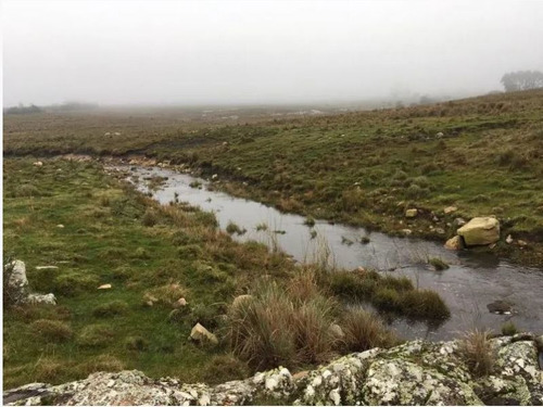 Campo En Venta