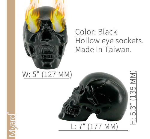 Tronco De Gas Con Forma De Calavera Con Huecos En Las Cuenca