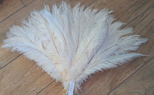 Pluma De Avestruz Blanca El Emporio De Plumas 50 Cm Blanco