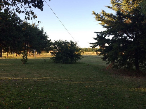 Imagen 5 de 17 de Campo De 10 Hectareas A 1500 Mts De Ruta 39 Con Chalet 4 Amb U$s180.000