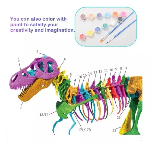 Desenho de Esqueleto tiranossauro rex pintado e colorido por