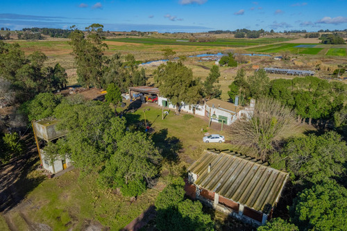 Venta - Chacra De 7 Hectareas - Batan