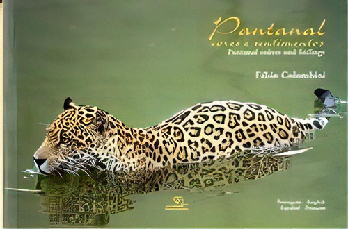 Pantanal - Cores E Sentimentos, De Colombini. Editora Escrituras, Capa Mole, Edição 1 Em Português, 2002