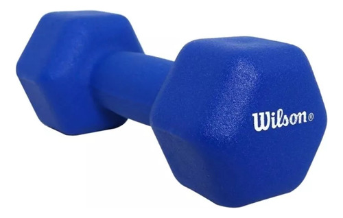 Mancuerna Fitness Wilson 1 Pieza 10 Lb Neopreno Azul Mn0010