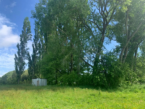 Inversión Segura Liquidamos Parcela Cerca De Temuco