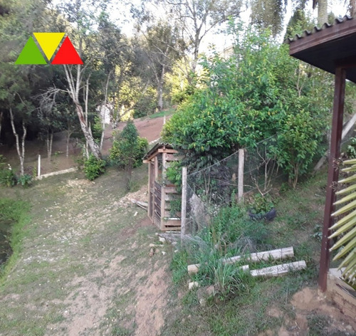 Imagem 12 de 30 de Chácara Em Mandirituba - Ch00124 - 34983072