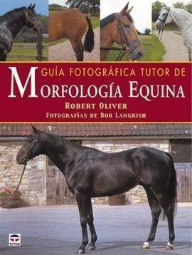 Guia Fotografica Tutor Morfologia Equina