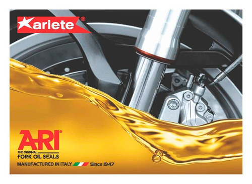 Imagem 5 de 8 de Tapa Guarda Pó Ariete Ari 138 Shadow 750 Xj6 R6 Mt-07 Mt-09