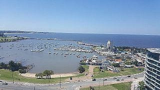 Imagen 4 de 19 de Puerto Del Buceo