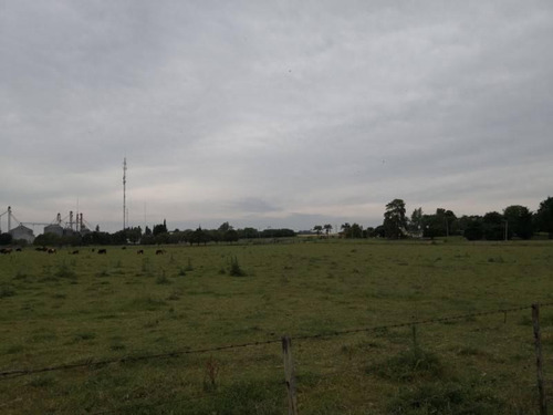 Imagen 7 de 10 de Rincon De Nogoya - Terreno Sobre Ruta De 2.000 M2