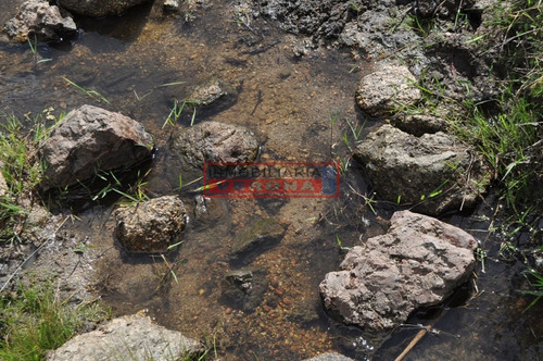 Imagen 7 de 30 de Venta Campo Ubicado En Garzón