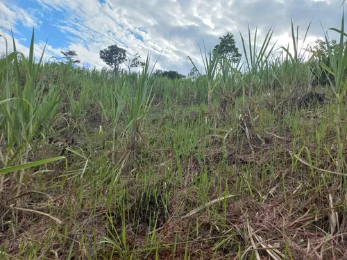 Venta De Lote En Villeta, Vereda Cune
