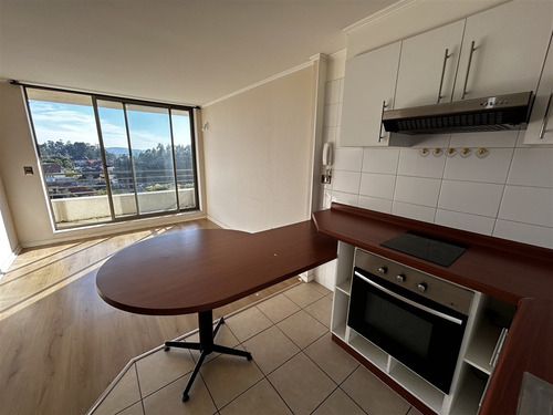 Departamento 2d 2b Est. Y Bod., Lomas San Sebastian