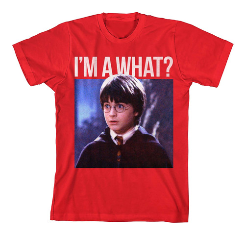 Camiseta Talla Medium Para Niño De Meme Harry Potter