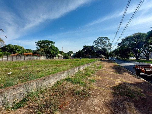 Imagem 3 de 7 de Terrenos - Ref: V8168