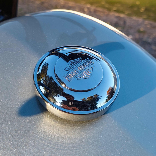 Imagen 6 de 19 de Harley Davidson Sportster Iron 883