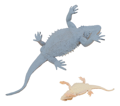Lizard Life Cycle Model Figurine Toy Educational Interactive