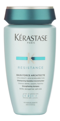 Bain Force Architecte Résistance X250 Ml Kérastase