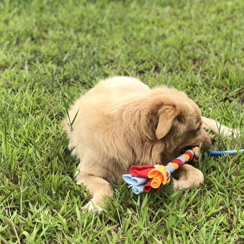 Juguete Para Perros Con Cuerda De Lana Como Sustituto De ...