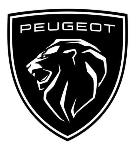 Soporte De Guardabarro Delantero Izquierdo Peugeot 208 20-22